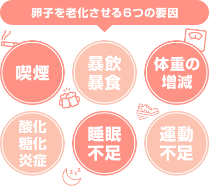 妊娠率を大きく左右する、卵子の健やかさ。